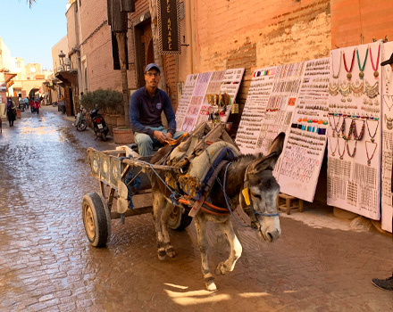 Rencontre avec mes artisans à Marrakech !